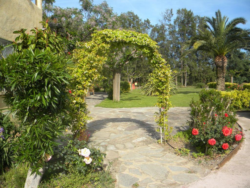 Auberge Les Oliviers Лучиана Екстериор снимка